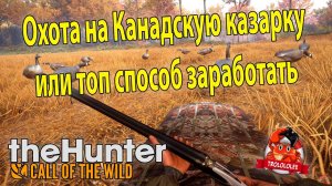 the Hunter Call of the Wilde Охота на гусей ФАРМ
