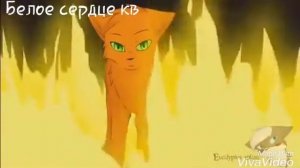 Клип коты воители: Огнезвезд по волнам