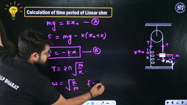 SIMPLE HARMONIC MOTION CLASS 11 | JEE MAINS SESSION 2 APRIL ATTEMPT | PHYSICS BY B.N. RAI SIR смотреть онлайн