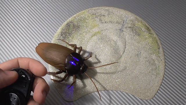 Таракан из Китая. смотреть онлайн