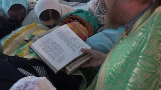 ЗАВИДОВКА 8 июля молебен святым благоверным князьям Перу и Февронье смотреть онлайн