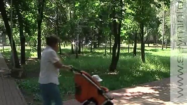 Останки немецких солдат перезахоронят близ Беседино смотреть онлайн