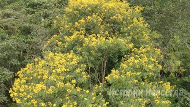 Девочка хотела купить сережки, а когда хозяин магазина узнал для кого, он… смотреть онлайн