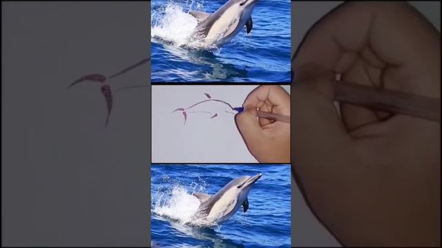 Dolphin tattoo #shorts #tattoo смотреть онлайн