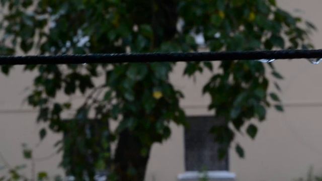 nikon d3100 kit video test смотреть онлайн