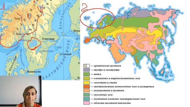 7 класс - География - Страны северной Европы - 29.04.2020 смотреть онлайн