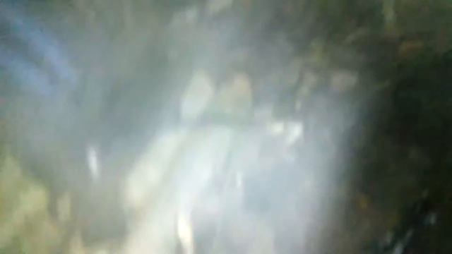 2 часть походов в лес. Улучшение домиков и новые сооружения. смотреть онлайн