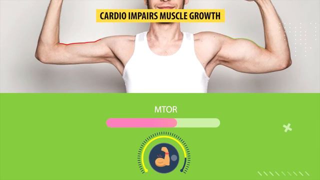 8 Things Nobody Tells You About Cardio смотреть онлайн