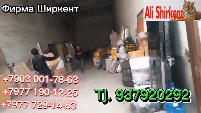 16 мая 2023 г. "фирма Ширкент" боромо омада расид. смотреть онлайн