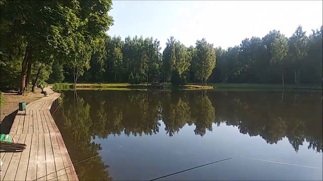 Клёв осетра и поимка амура на Нижнем. Клёвое место лосиный остров. смотреть онлайн