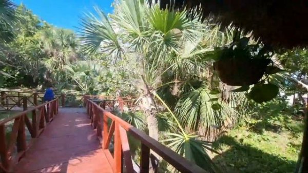 Iberostar Tainos Sept 2022.