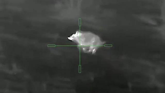 Yukon nordforce XQ30 смотреть онлайн