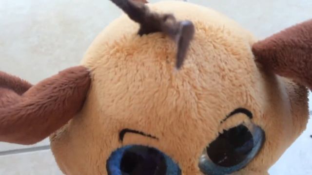 Как таксу научить команде сидеть смотреть онлайн