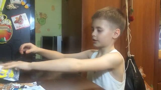 Нежные хищники амурский тигр и белая сова смотреть онлайн