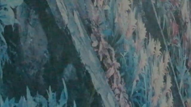 Помогите пожалуйста найти Bluetooth наушники, которые могут воспроизводить звук во время зарядки. смотреть онлайн