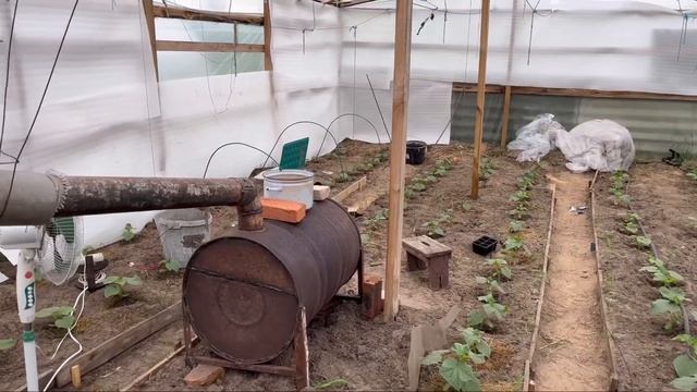 Как утеплить теплицу в заморозки.