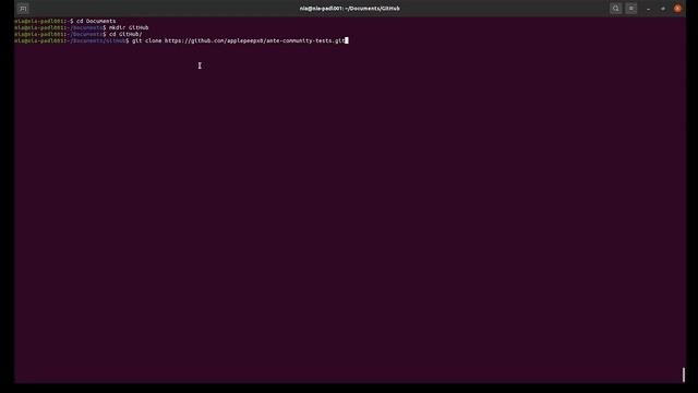 Ante Dev Env Setup (Linux) смотреть онлайн