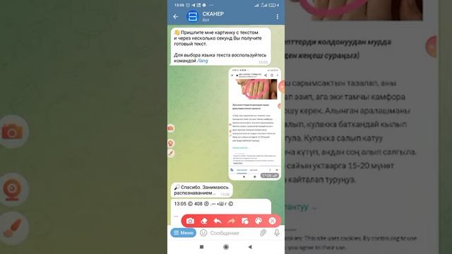 ТЕКСТ ЧЕРЕЗ БОТ СКАНЕР смотреть онлайн