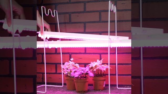 ? Что за зверь фитолампа ? Для чего нужна? И как её разместить? Подставка для фитолампы 150-002? смотреть онлайн