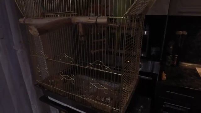 ПОГРЕБ СВОИМИ РУКАМИ! 28.10.20 смотреть онлайн