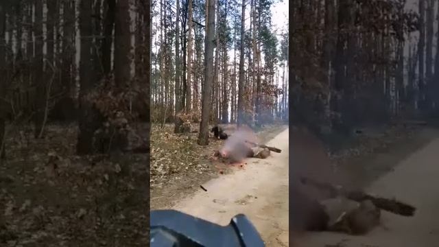 придурки смотреть онлайн