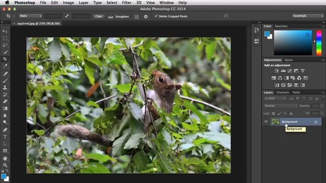 Photoshop: Getting Started with Photoshop смотреть онлайн