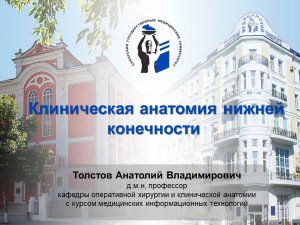 Лекция "Клиническая анатомия нижней конечности"