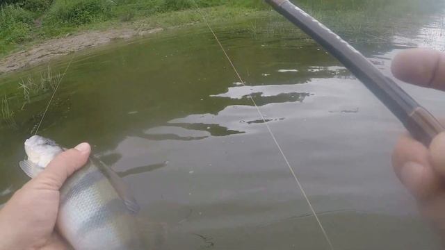 Отводной поводок на Оке(Кашира). Слом погоды. Горбачи! смотреть онлайн