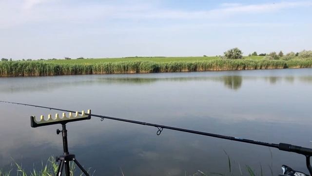 Новый ставок Новопетровский!!! Для фидера рай❤️ смотреть онлайн