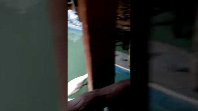 Дагестан, Махачкала,отель Царский двор смотреть онлайн