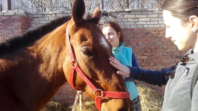 Прогулка #3.(Есенин - Москва) смотреть онлайн