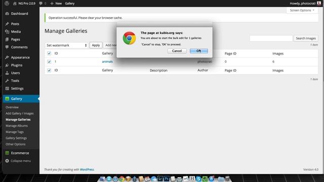 Reverting Watermarks to Original Images in NextGEN Gallery смотреть онлайн