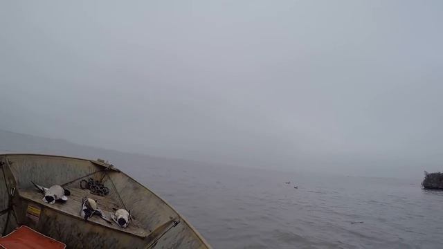 Real Duck Hunting #2 смотреть онлайн