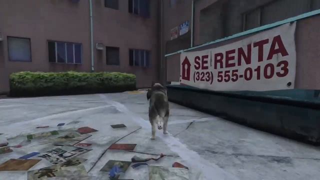 how to find the animal plants in GTA V part 3 смотреть онлайн