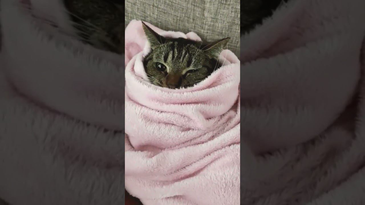 бедный Тихон смотреть онлайн