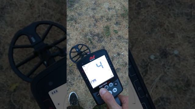 Эквинокс 800 и пять монет по рублю.