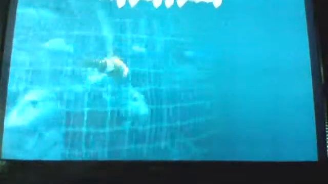 Disney Pixar Finding Nemo Game Part 18 смотреть онлайн
