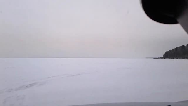 Зимний лес! и баловство... смотреть онлайн