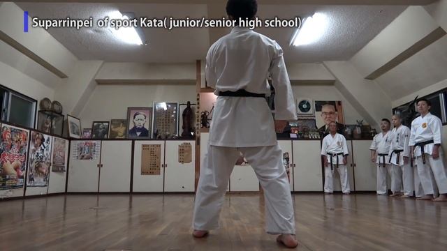 Tradition VS Competition | Goju-ryu KATA | 伝統VS競技 | 剛柔流型 | Meitetsu Yagi | 八木明哲先生 смотреть онлайн