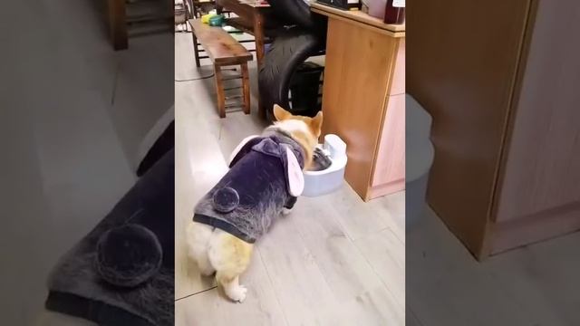 Попью продолжим смотреть онлайн