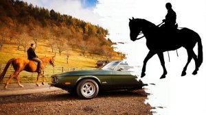 Лошадь спокойно идет по асфальту | Стук копыт по асфальту | Прогулочная лошадь