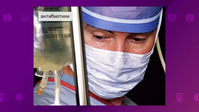 Биология. 8 класс. Гигиена питания. Инфекционные заболевания органов пищеварения и их профилактика смотреть онлайн