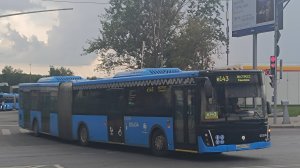 Маршрут е143(бывший 503) Метро «Тёплый стан»—Каменка—Метро «Тёплый стан»