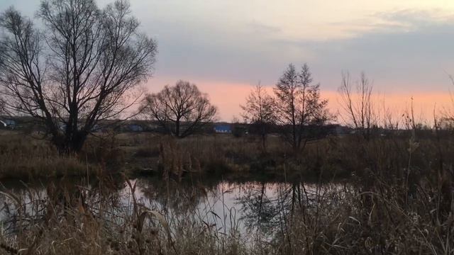 Красота и звуки природы. ASMR смотреть онлайн