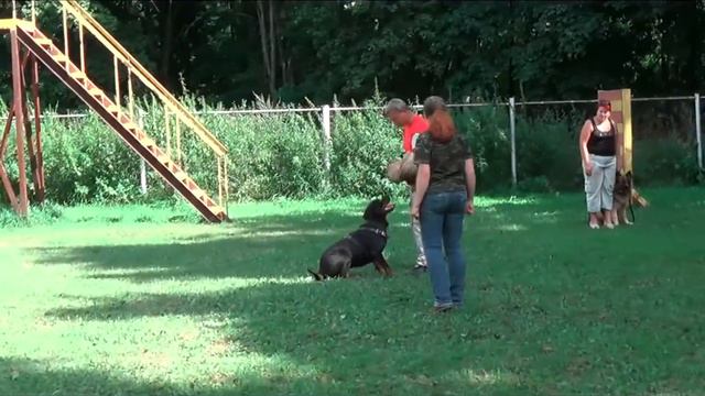 RUS RPH NEKAR SUNSHINE REGGAE смотреть онлайн