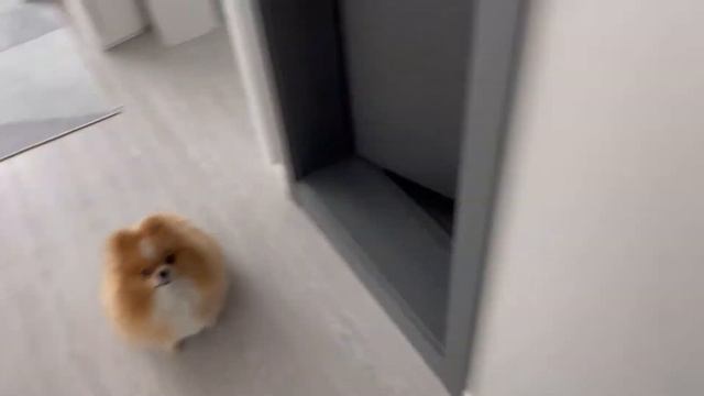 Мой повседневный день, готовлю, учусь, и езжу по делам. Моя жизнь в Южной Корее. смотреть онлайн