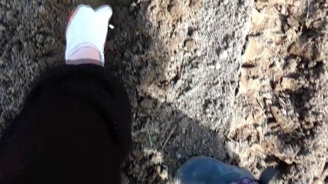 Не запланированное ПРОРАЩИВАНИЯ семян ТЫКВЫ ☆ Посадка смотреть онлайн