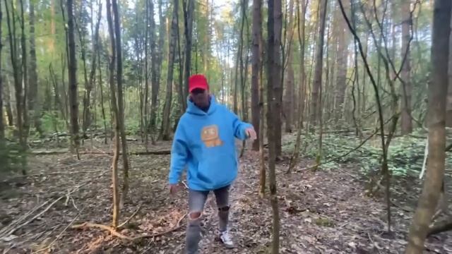 Мятная Фанта Заблудились в Лесу нарезки стрим