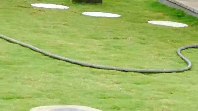 Rooftop Garden On Our House.mp4