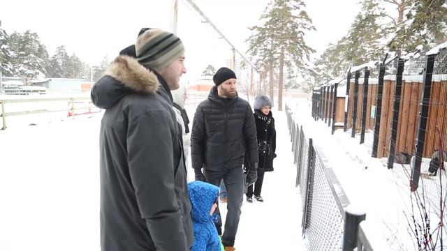 Dobrý Den, Medvědi